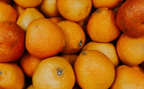 photo of oranges